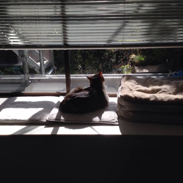 6d294184 54f7 4d1b 825f 3ac526b7d6f5