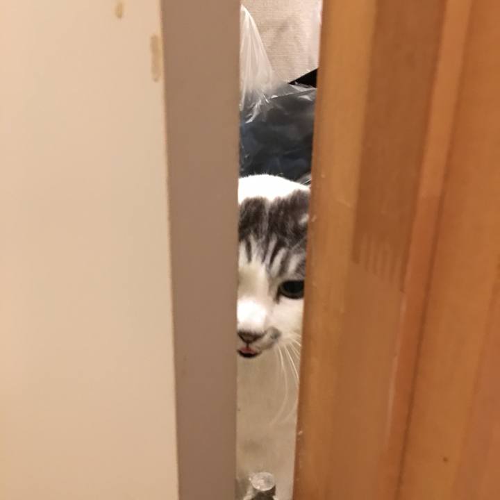 6d2971df fa80 43d6 947f 7e83f6943910