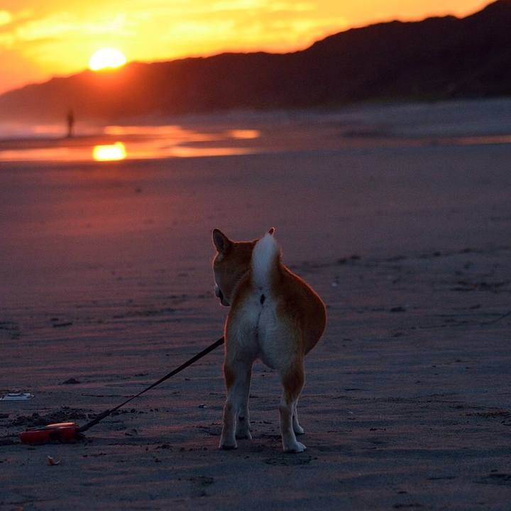 6d297225 71db 4dbb 8d4d 3f3389e2193f