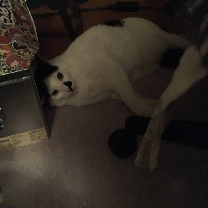 6d298750 3d82 4219 a8bf 020657ec94a5