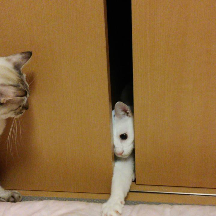 6d2a7eee 08c5 46dd 9ac0 db5cb68749dc