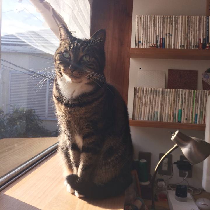 6d2b0c41 2cfd 4b7e 866d ba832fbd5da1