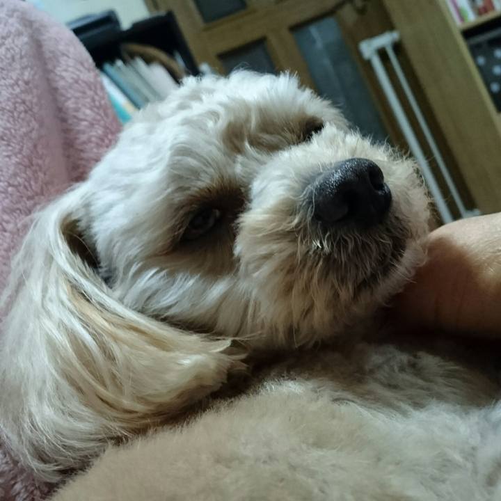 6d2b48b2 aed8 4983 a379 4c9ce1223121