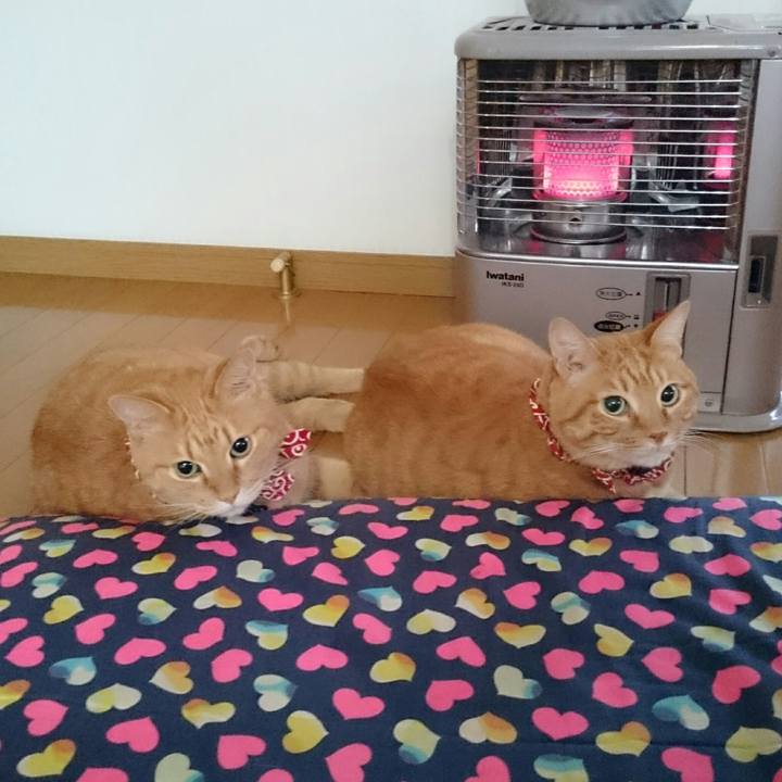 6d2b861f 68e4 4b08 b80f a7f522ee1a56