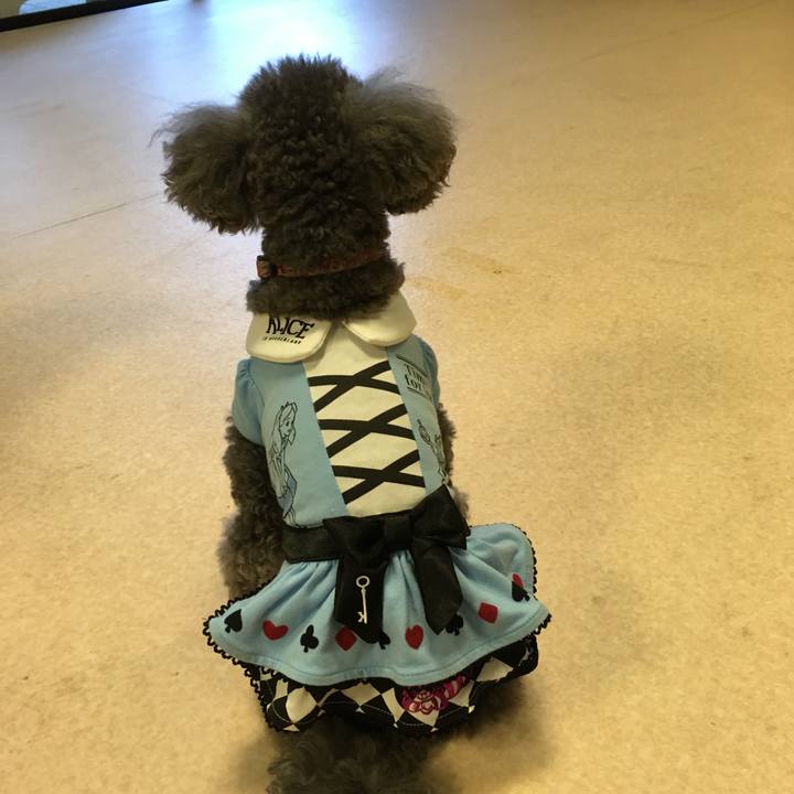 6d2ba98a fcf2 4ff4 b0ab ec756eb4d405