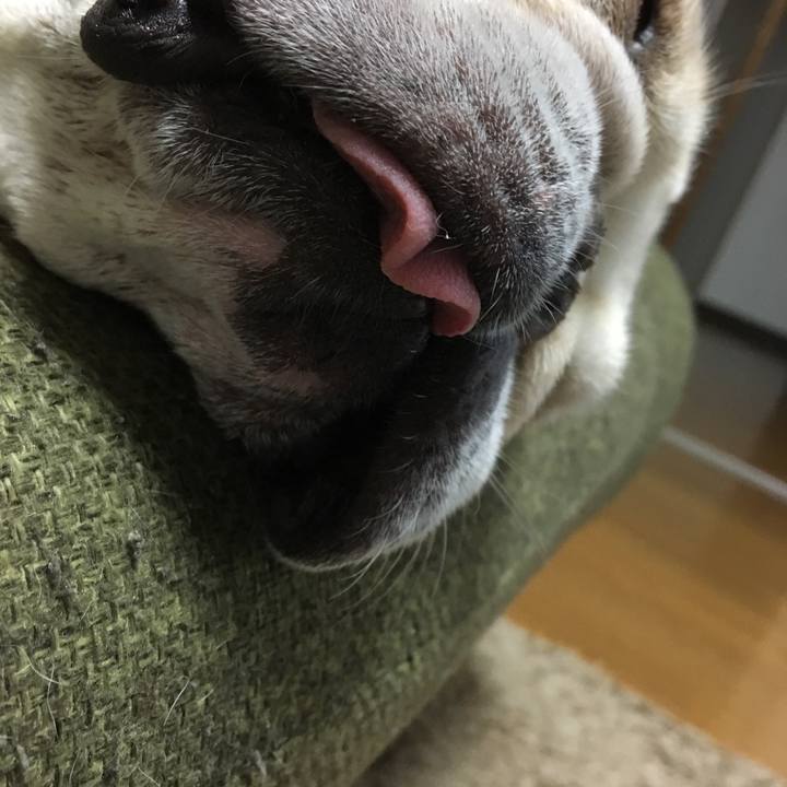 6d2be2c7 b17b 401c 9cc4 86d865c7832f