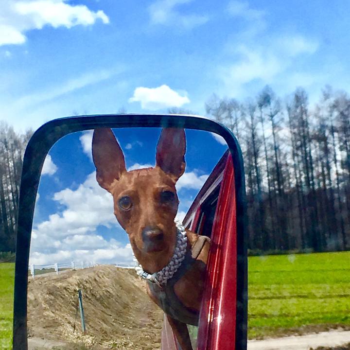 6d2bf3a0 8ae6 4bee b99a bbf7892f6b42