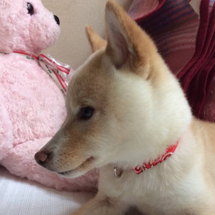 6d2c0e0b 737b 48dc b215 11ccc2b40d5f