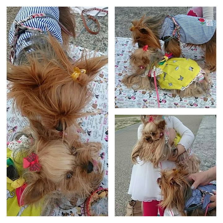 6d2c1836 d6d2 41ef 9363 49c24c30ea75