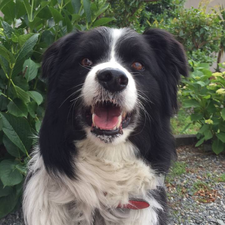 6d2c495e 5587 4b97 861f a315fe24c35b