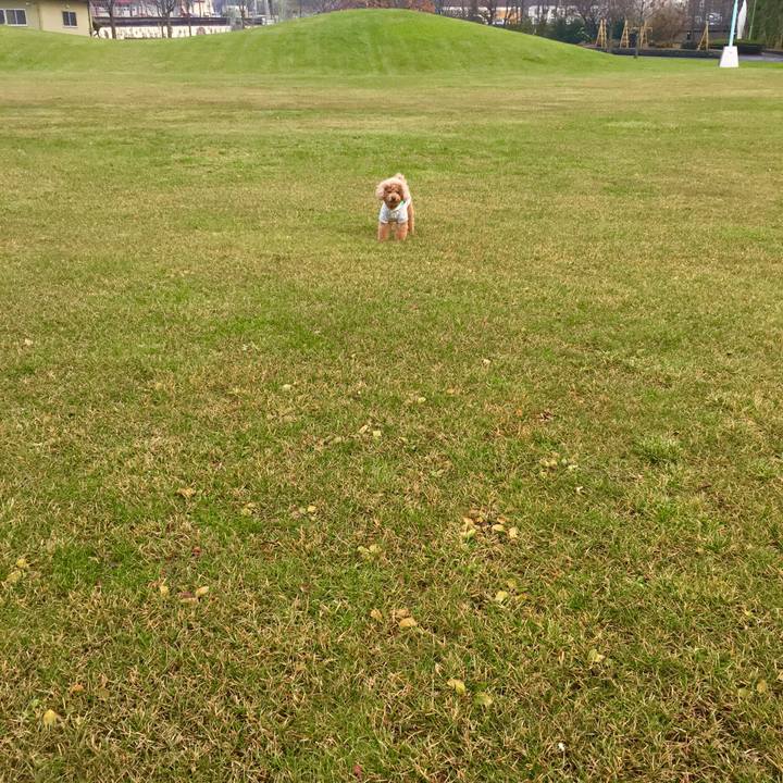 6d2c54ed 00b5 4412 9d16 5fa27673e953