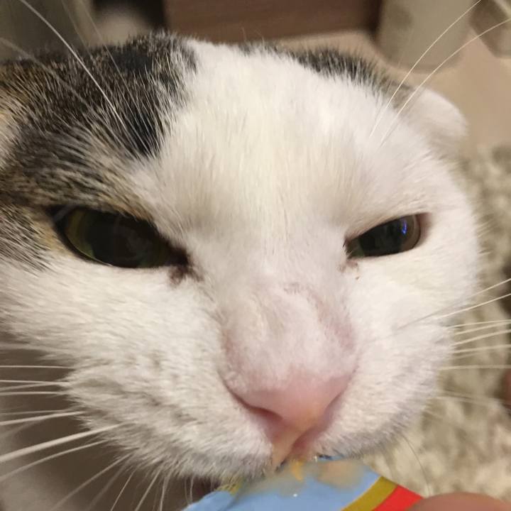 6d2c9478 053c 4fc1 8ec0 b95141cb1b3c