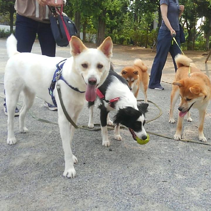 6d2cd80d 08fa 41da 8769 91136b874437