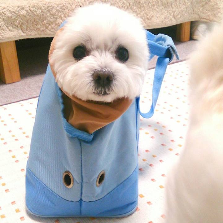 6d2d083c 5115 42c2 bfed b4586aef4b2a