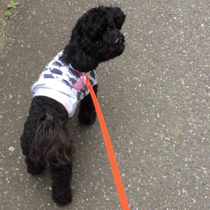 6d2db950 625c 4555 a3c2 7cc10b448538