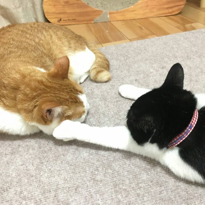 6d2e196c b2a5 4ed8 aed0 791079f9e030