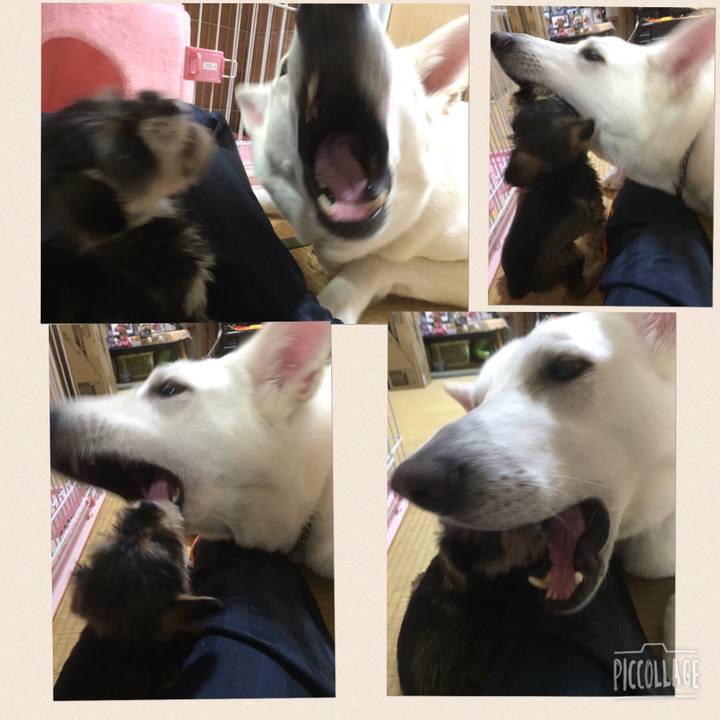 6d2fa657 0a7d 4ff4 a938 3be1ea12c20b