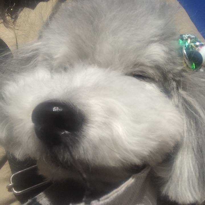 6d2faf00 cfec 4866 acc3 14cab5d6e8c2