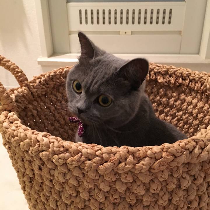 6d2ff56c 4c6e 477e a17f 7a6c1ad7155d