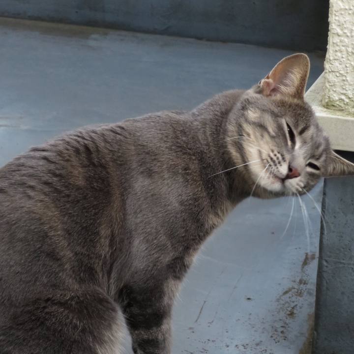 6d304140 bc84 4fe6 b91b 3dfe6637e6f0