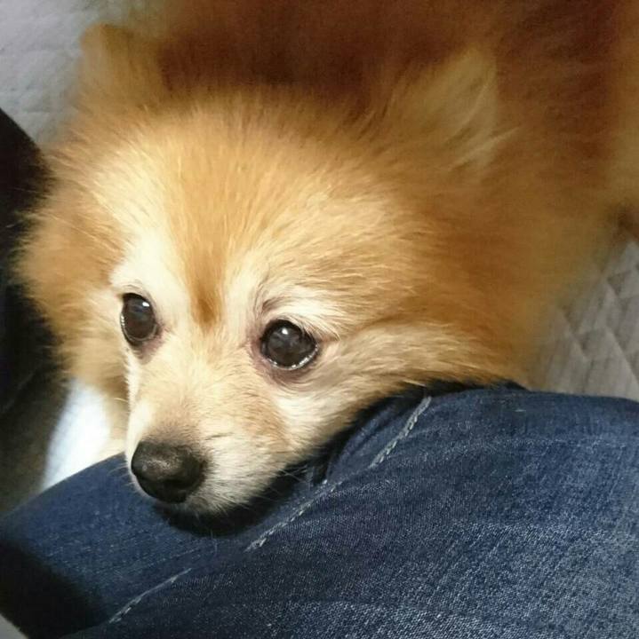 6d307815 bfef 4877 957c 67f69f7c2b23