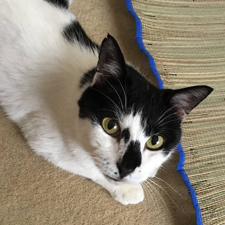 6d31a065 2990 44c7 8a67 c574fe1c3708