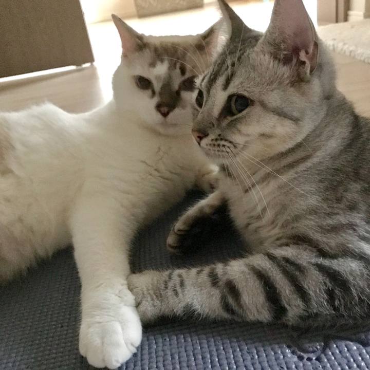 6d32538c d585 4795 b56f 7b371cbcd7c0