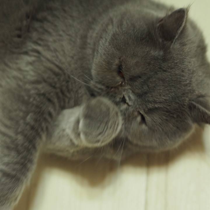 6d32e82b 7290 41c6 80bd 806061751c0d