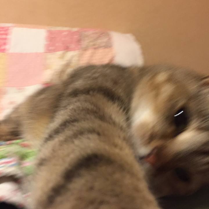 6d32ee39 5500 4c2d bed9 33f4b7c23b1d