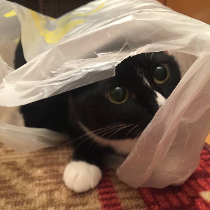 6d32ee4d 2bb8 4eb0 9280 245b7b47423c