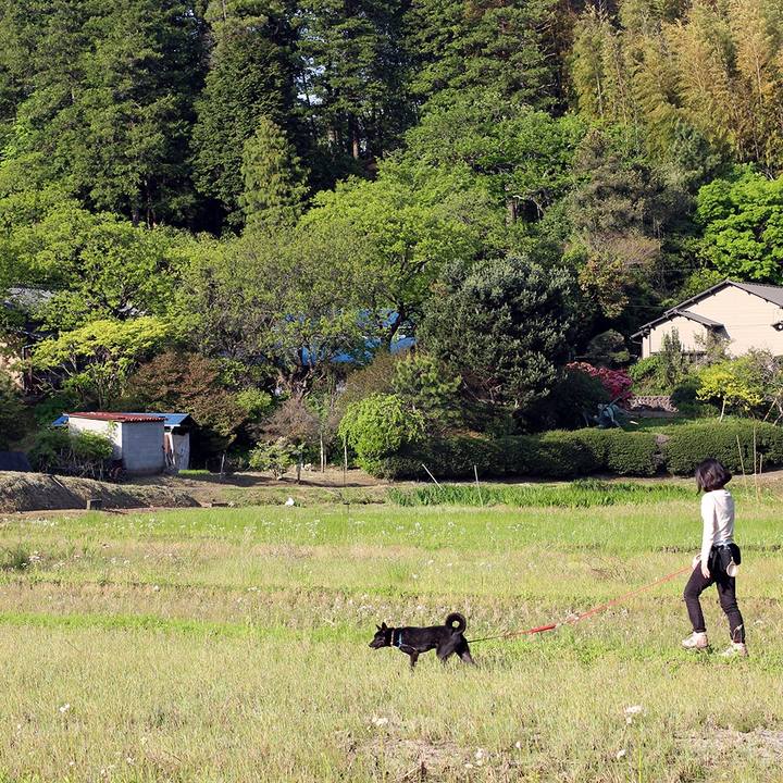 6d332504 9eaf 4e1e 8374 73571603b333