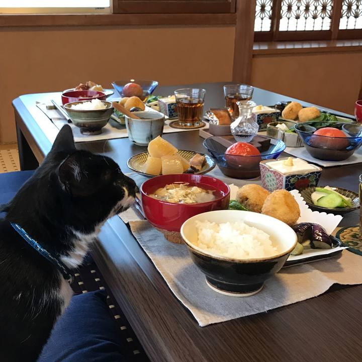 6d33c98b 23bd 49fa 8a10 bc3419dfc04a