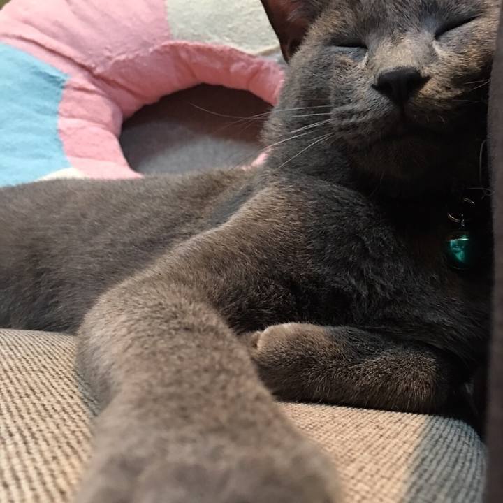 6d3447e3 fb05 4326 b7f1 07120c671368