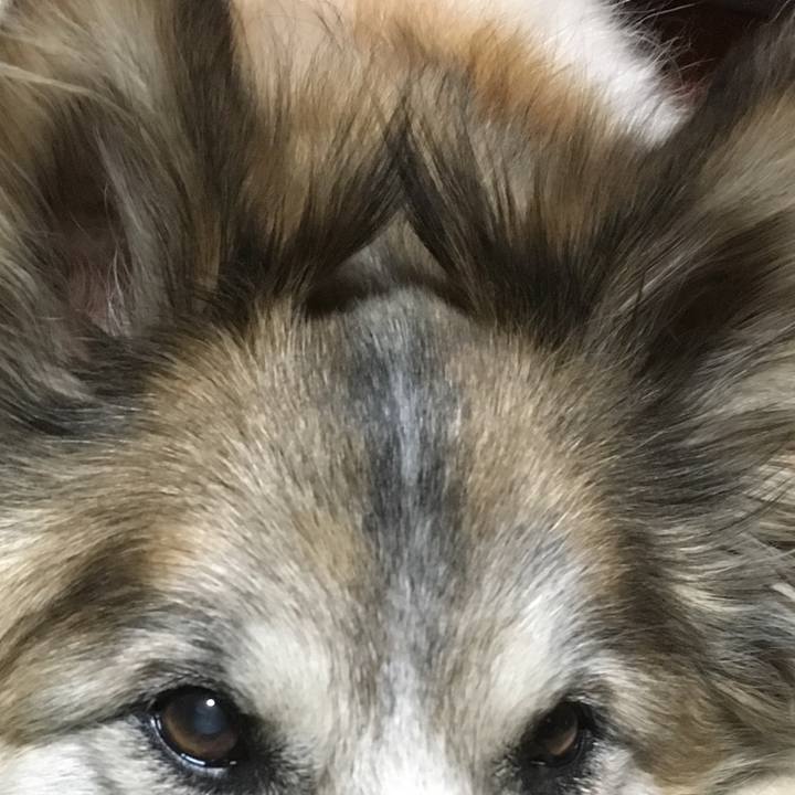 6d346c8c b057 4550 9b66 ea0ee63bcaa9