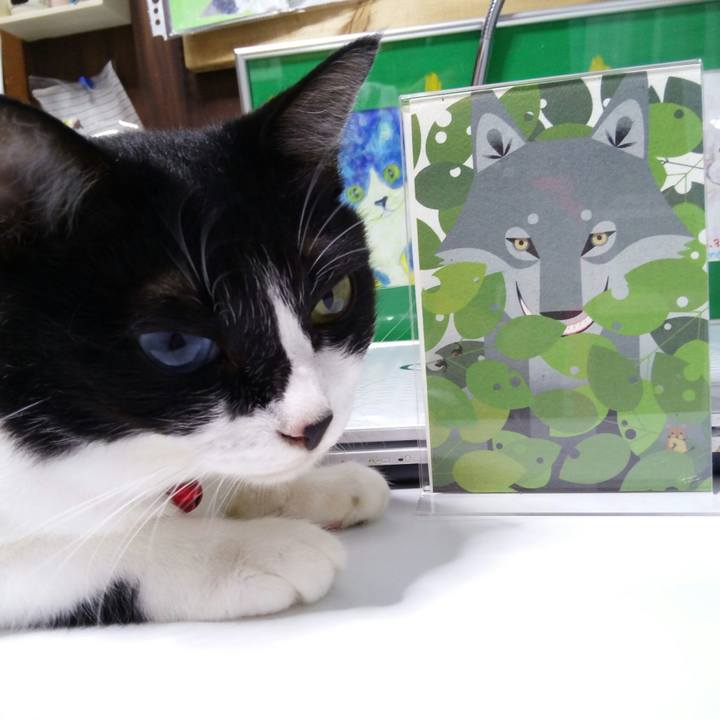 6d351ecd 7284 4bf6 94da 71d3a50971ed