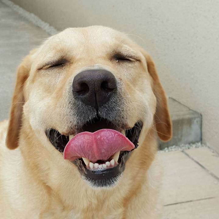 6d357a5a 4802 47cb 959f 8763b69589fb