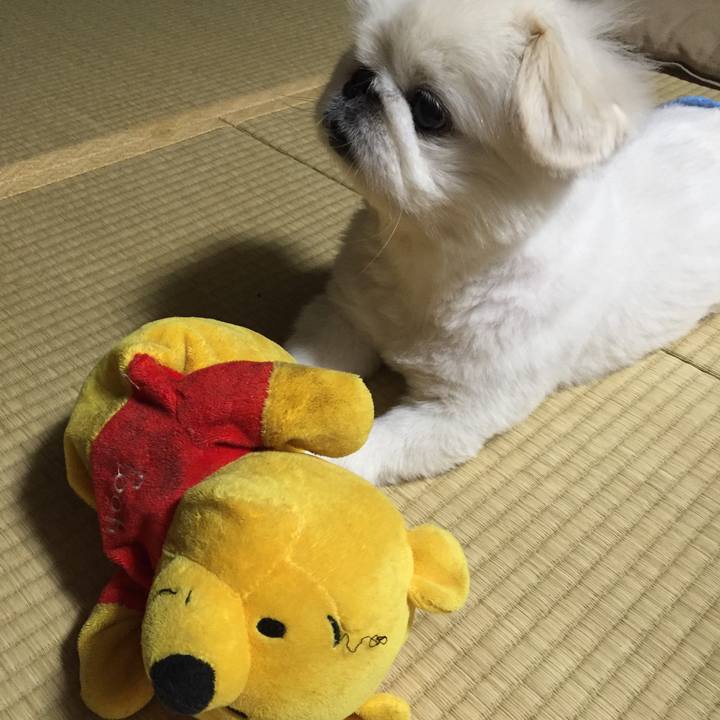 6d360628 df32 40c4 b250 2fdb129f1baa