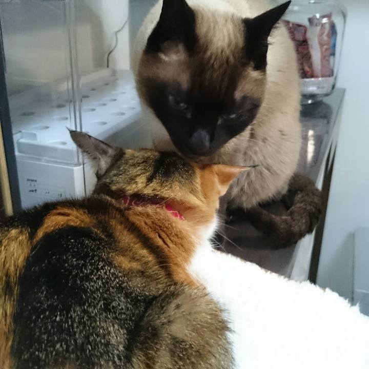 6d36abbd 49e0 4cfa b6a5 6b58a7ea6f47