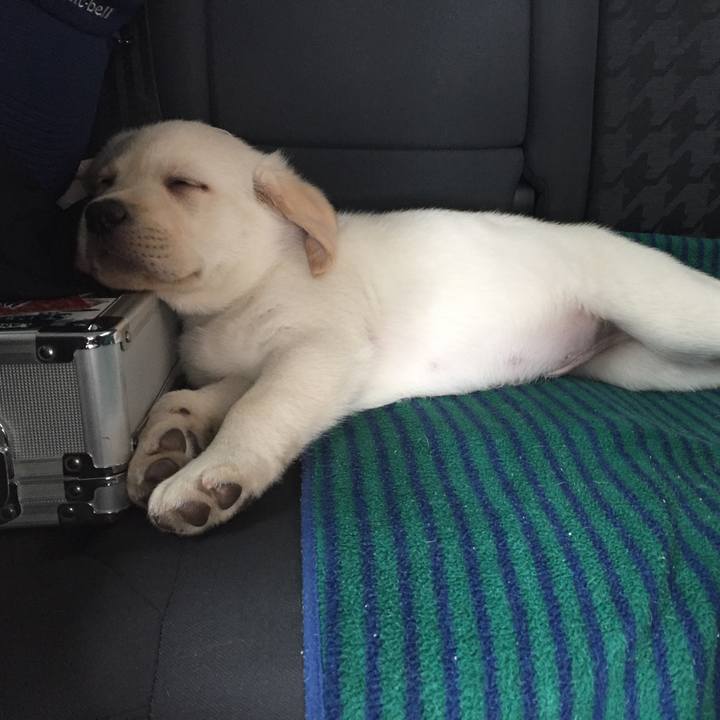 6d3745cb 8f30 4ed9 9004 35d363c0534a