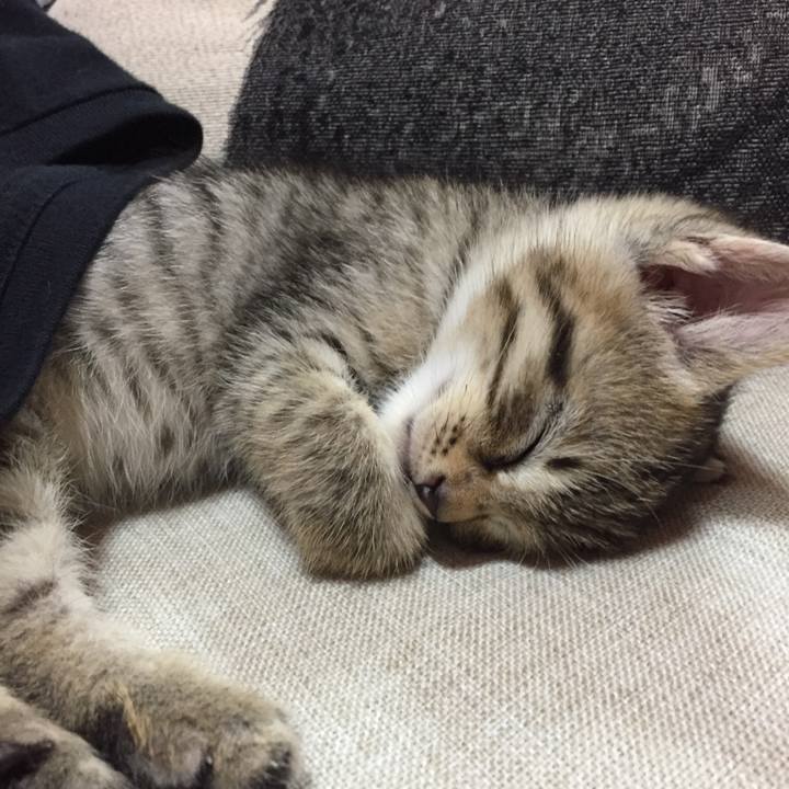 6d379b74 13b9 42ee 9f52 28c4bd933d28