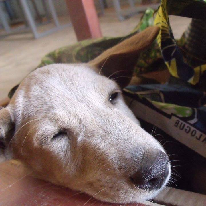 6d37e2ea 46af 4d01 99b1 e8c36b2834d8