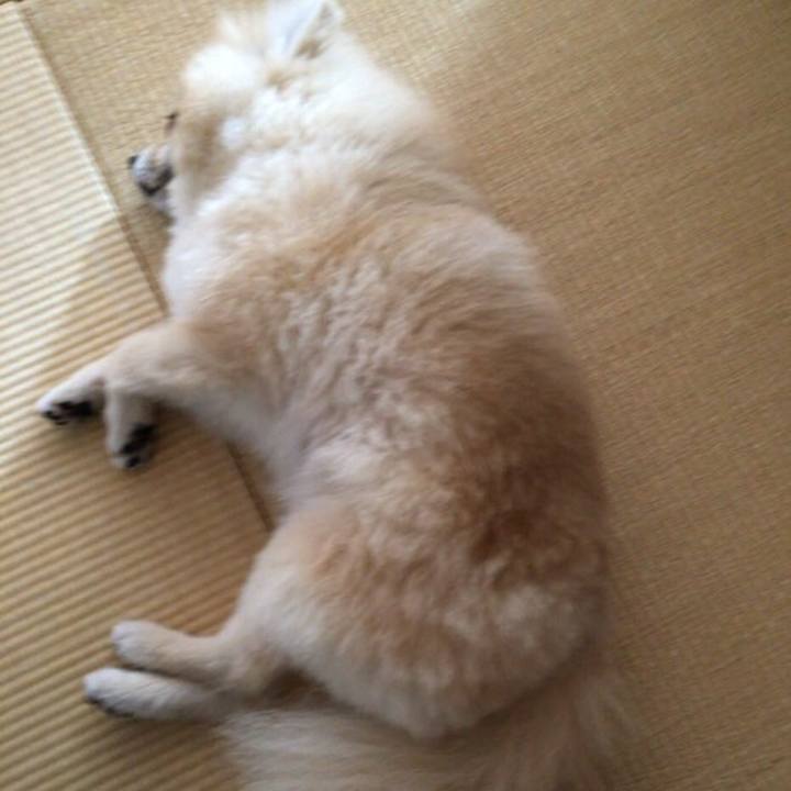 6d37fafb d496 4d21 a1b8 02e29c42395e