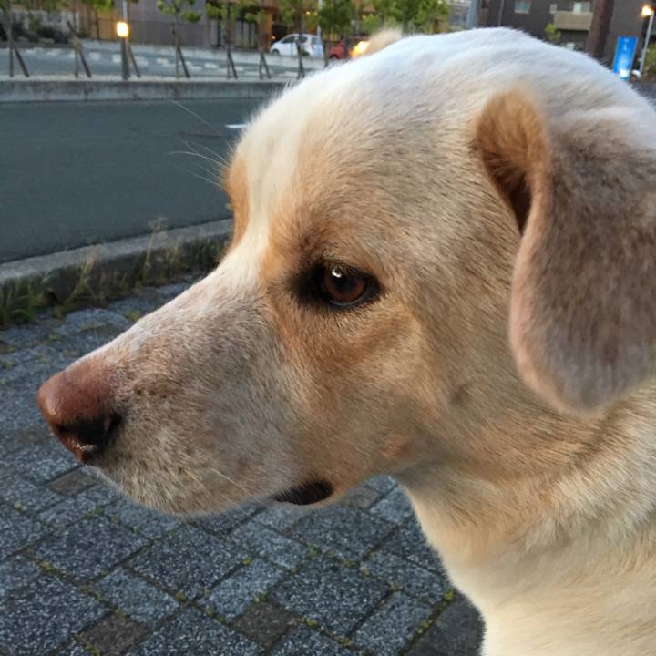 6d3809e1 7b73 48dd b7ac 02a4309020d3