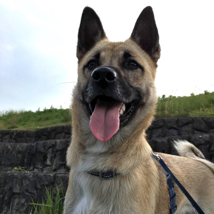 6d395656 9995 400f a686 43848f526020