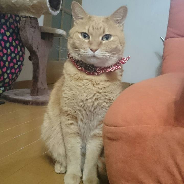 6d3975c1 20a6 484f a94f 3b2bdac139e6