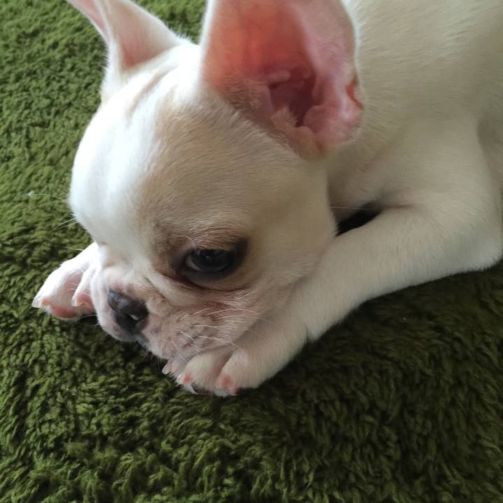 6d3a1c04 9530 4e09 bf60 f75440b409c6