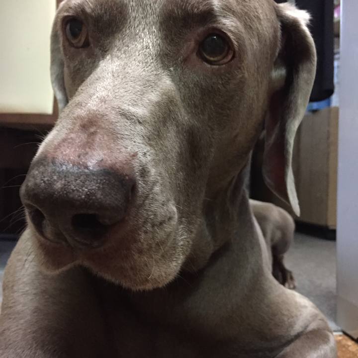 6d3a33c6 1b90 48ec 8096 907cf811f966