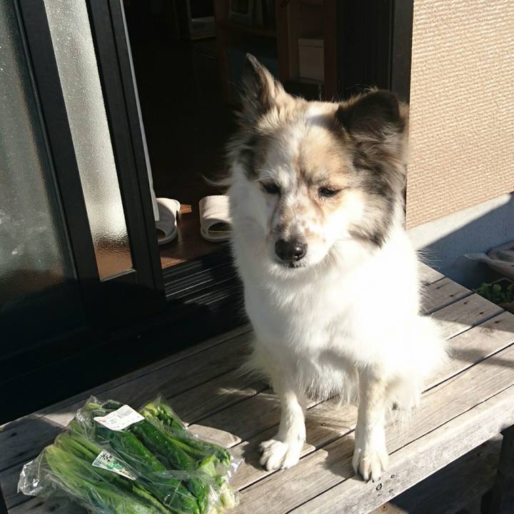 6d3a912a 60d8 469c bc11 68c449e7bb21