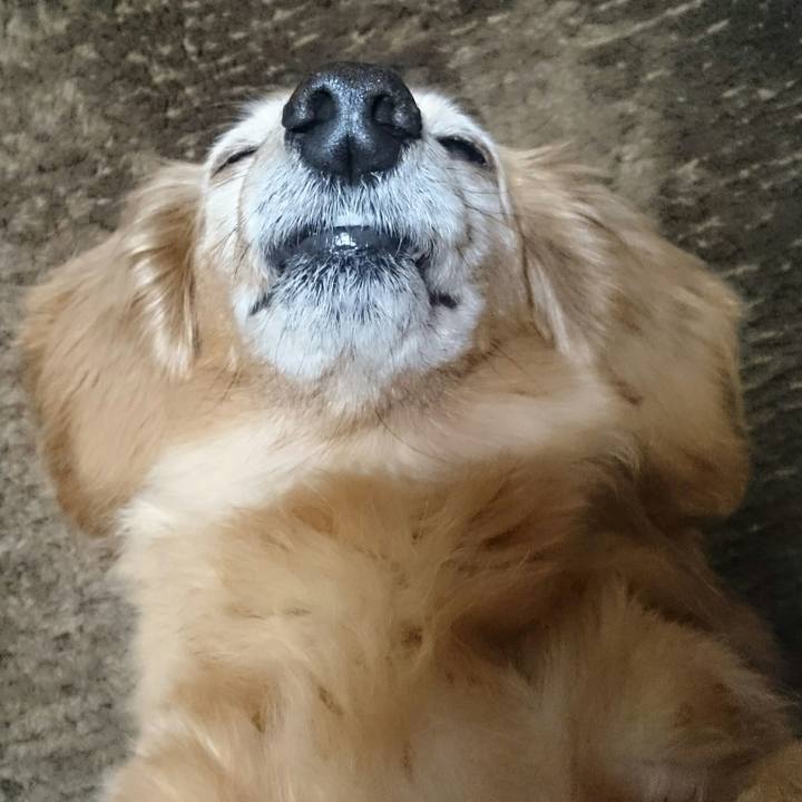 6d3adb91 7b35 4fb0 b530 fd1774349481