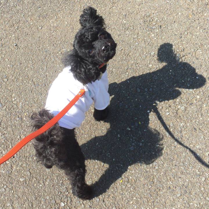 6d3ae1c3 90b2 4239 8247 8d12d21514a0